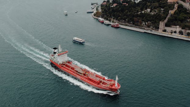 A bulker in Istanbul